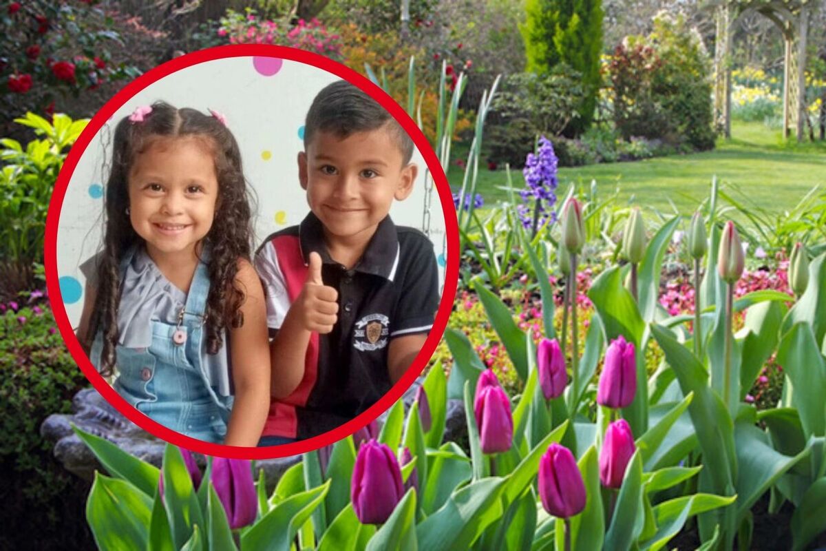 Mueren dos hermanos de 3 y 5 años en el jardín de su abuela