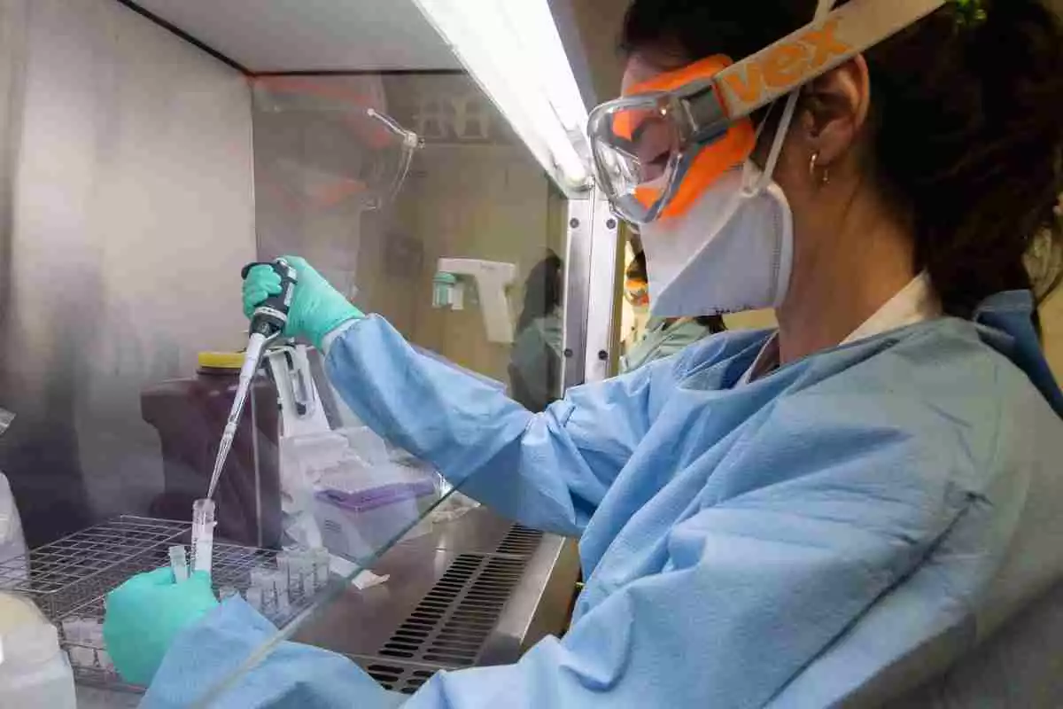 Una investigadora científica treballa en la cerca de remei pel coronavirus, 2020