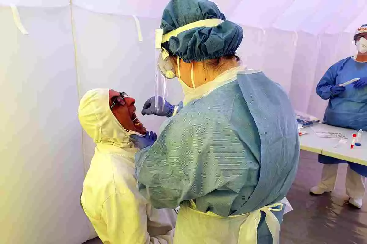 Una infermera prenent mostres per la prova PCR de detecció de la covid a un empleat de Padesa a Roquetes. Imatge del 30 de juliol del 2020