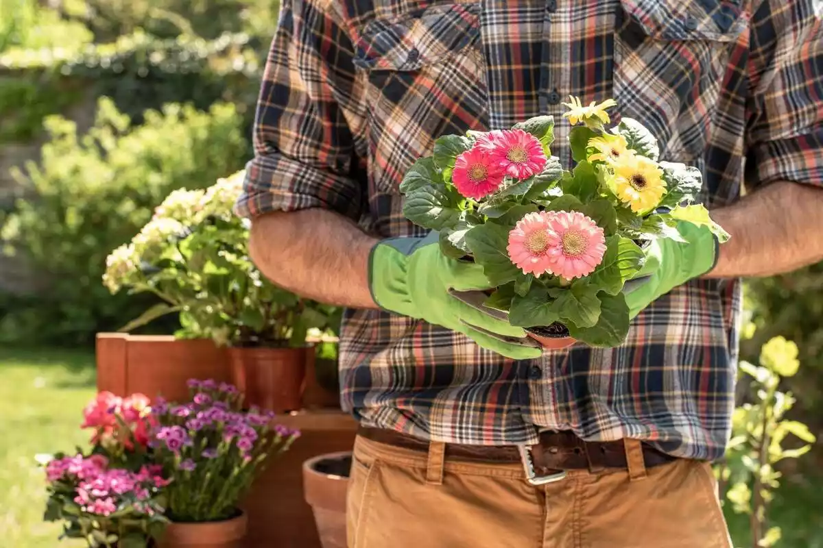 Un jardinero con unas flores en la mano
