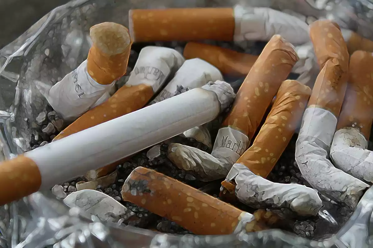 Unos cigarrillos apagados dentro de un cenicero