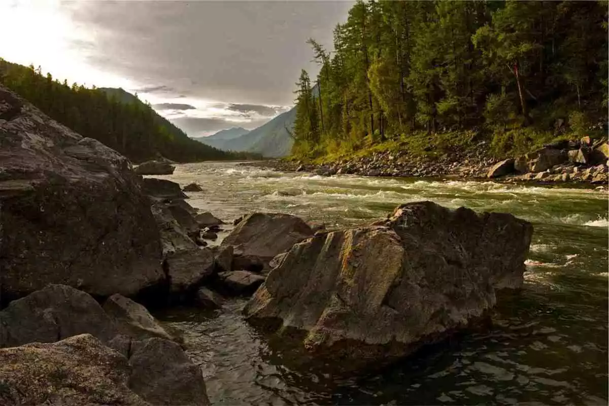 Imagen de un río protegido por rocas y un frondoso bosque