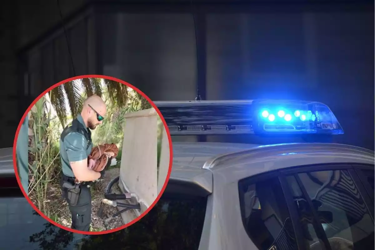 Montaje del bebé encontrado en Alicante y un coche policial.