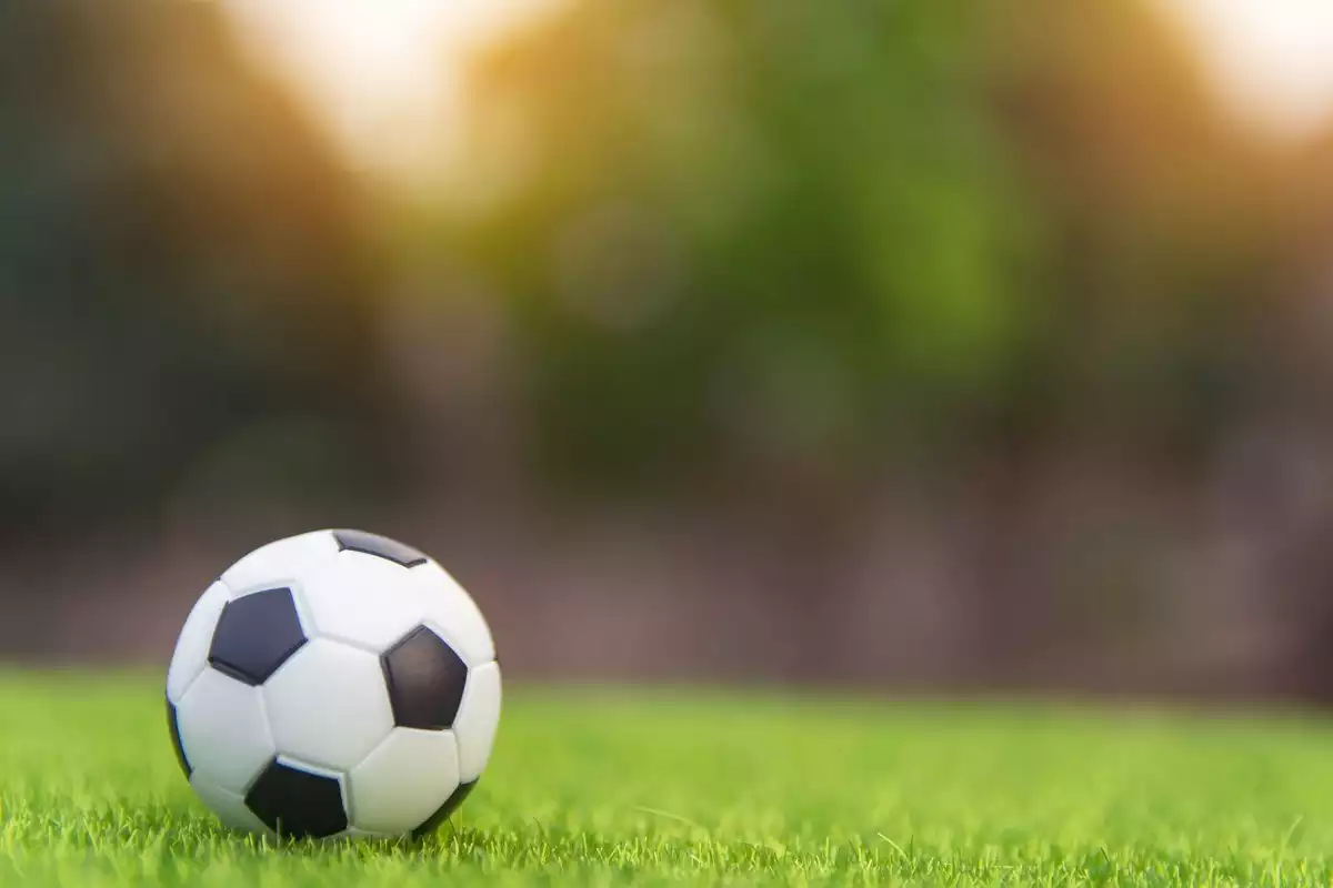 Imagen de un balón de fútbol en estático sobre la hierba verde