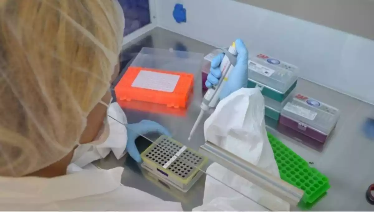 Una profesional sanitaria haciendo un test de coronavirus