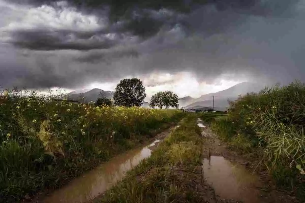 Imagen de un camino con charcos por las lluvias