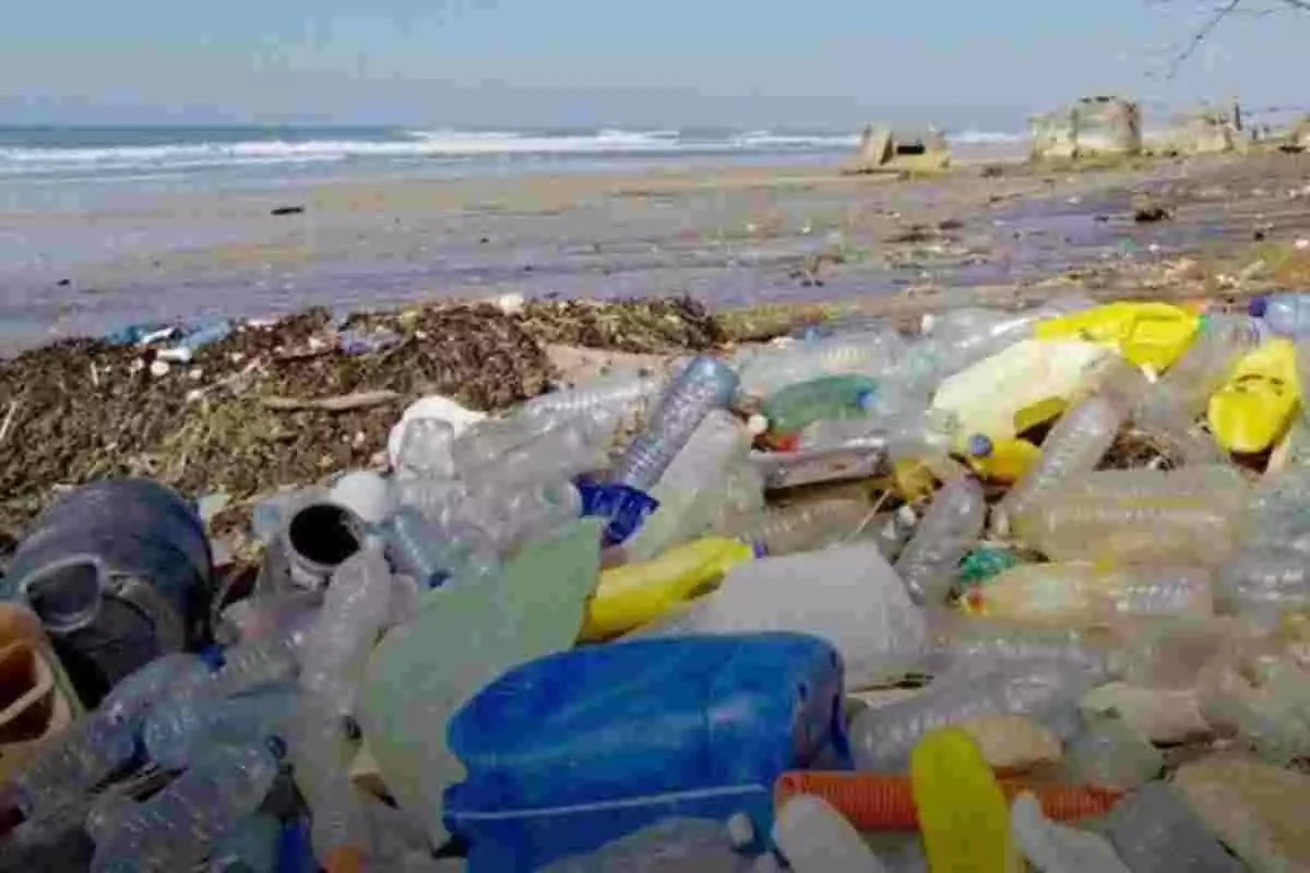 Imagen de una playa llena de basura