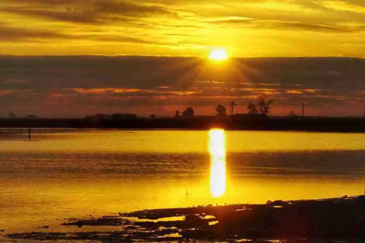 Imagen de una salida de sol en el delta del Ebro