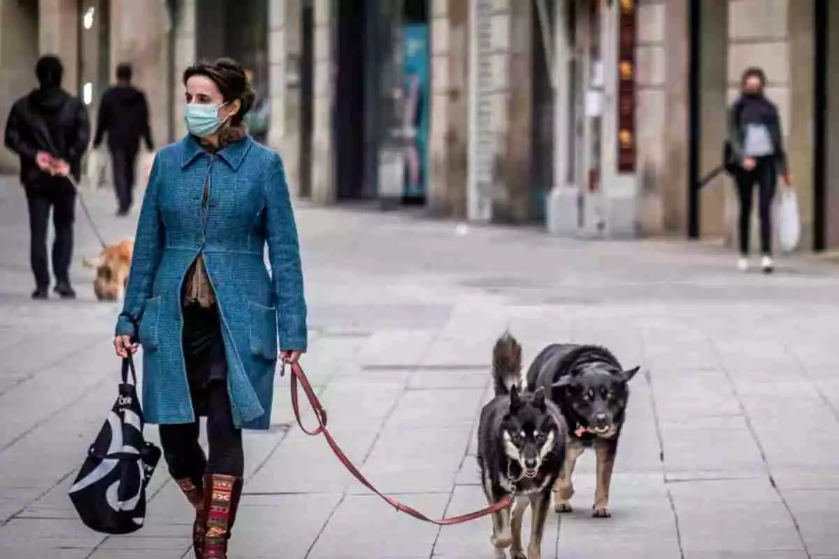 Una chica con mascarilla pasea a sus dos perros por la ciudad