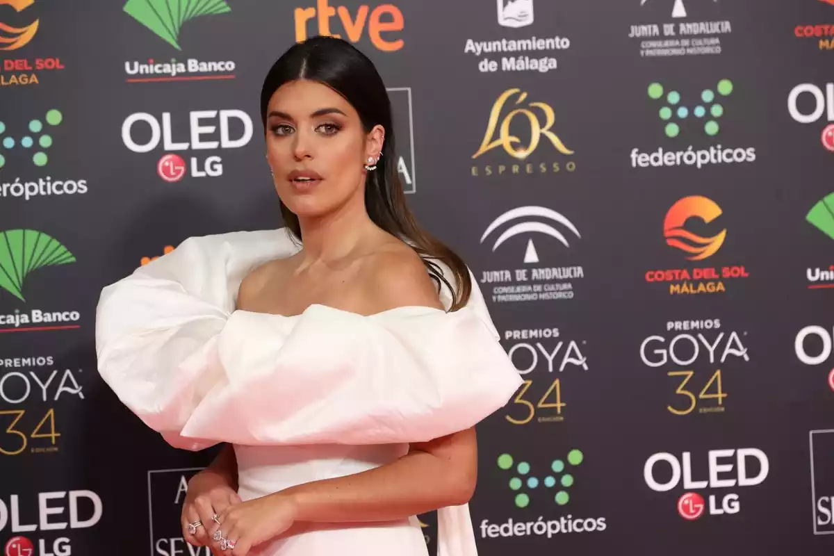 Aida Domenech (Dulceida) en la Gala de los Goya 2020