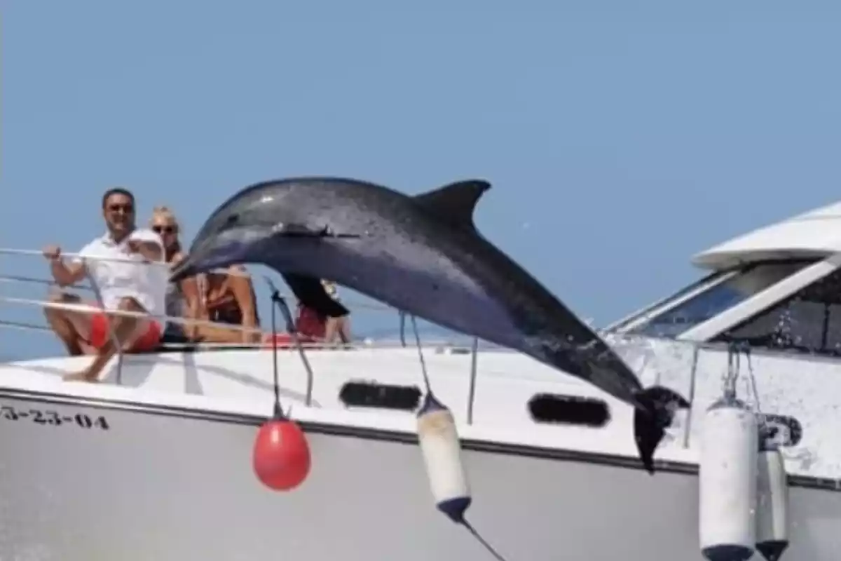 Belén Esteban y Miguel Marcos en Tenerife en un barco con delfines cerca en 2020