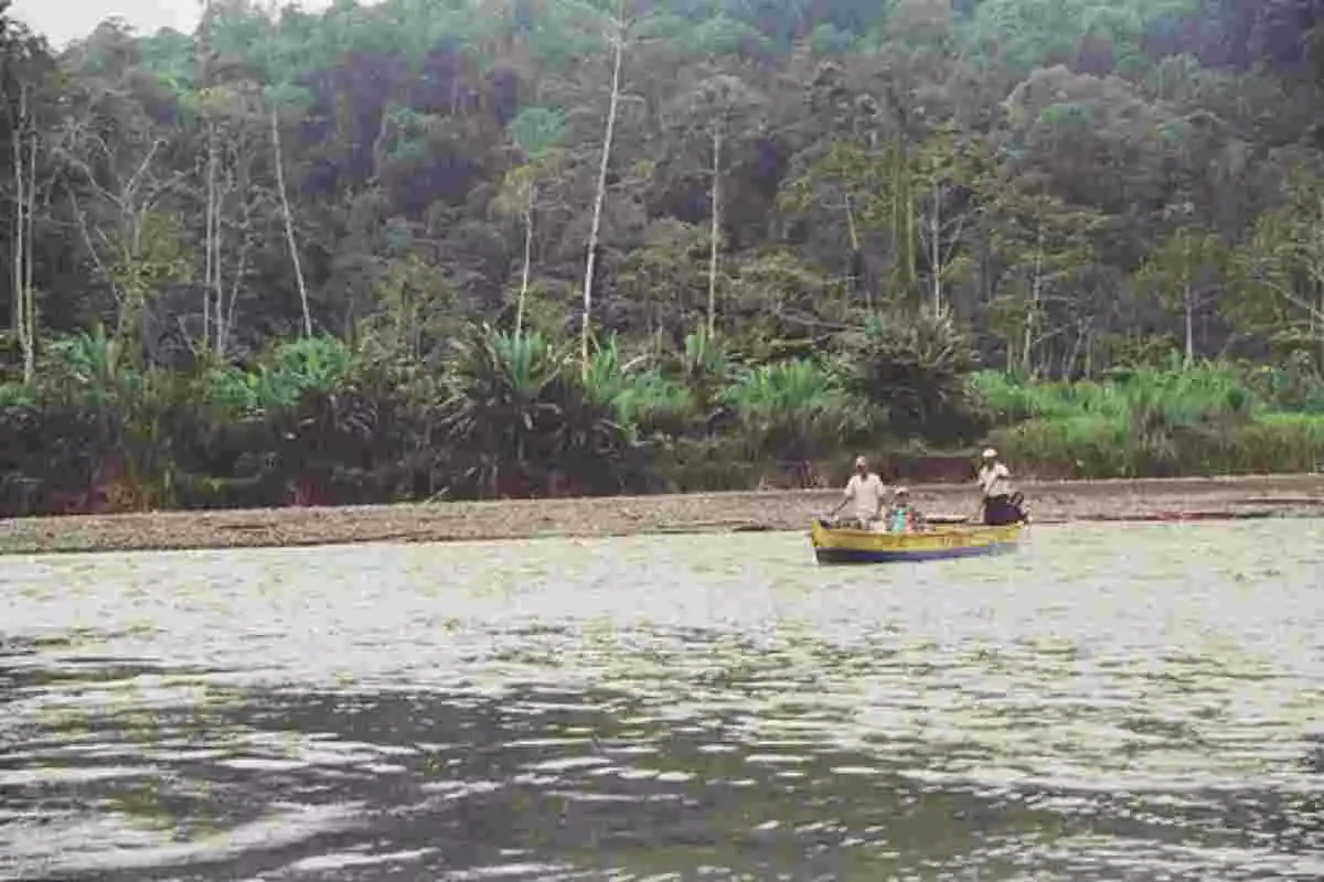 Imagen de un río de Panamá