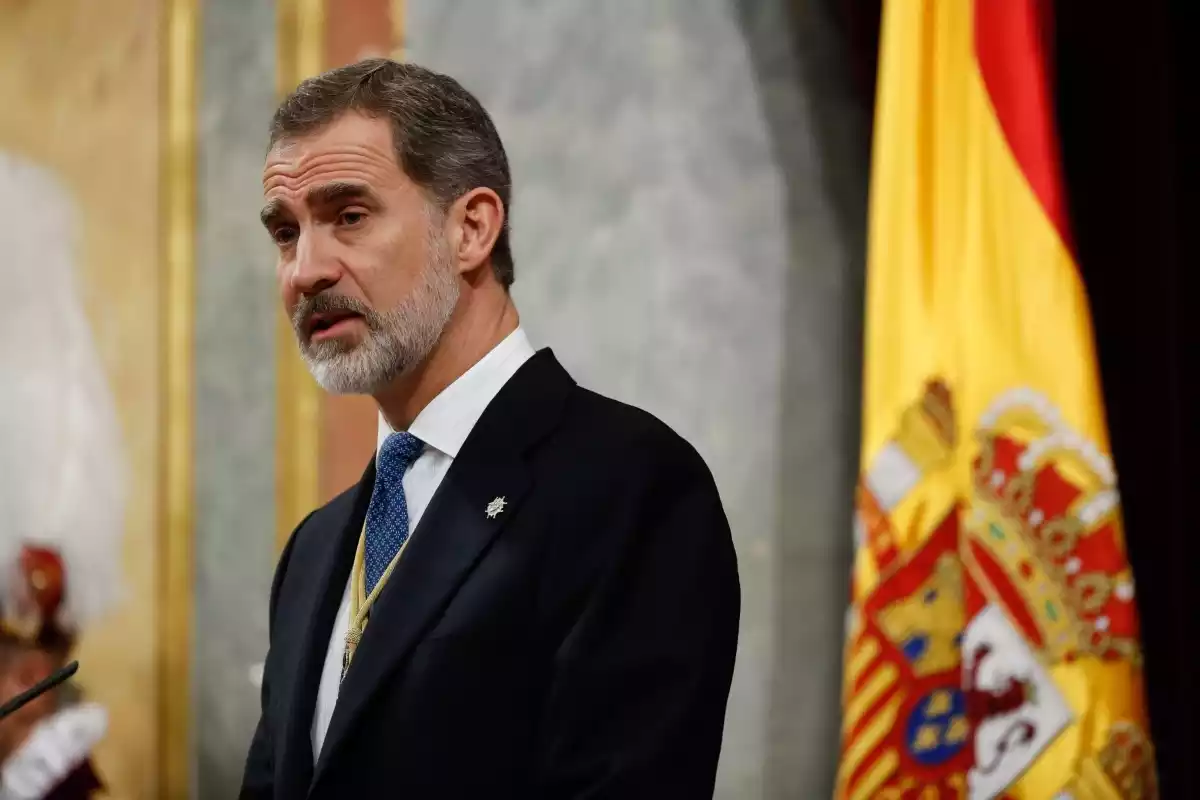 El Rey Felipe VI en un acto público con la bandera de España de fondo
