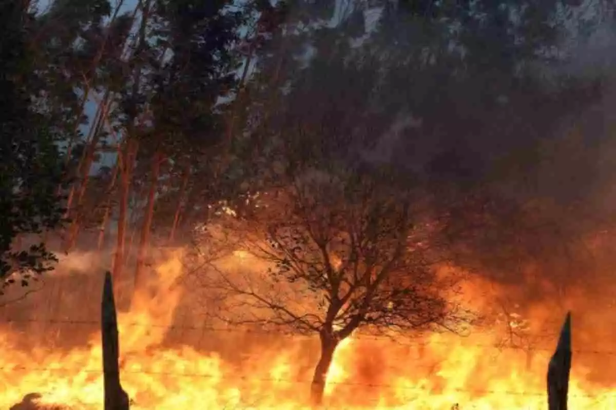 Imagen de un incendio forestal en el norte de España