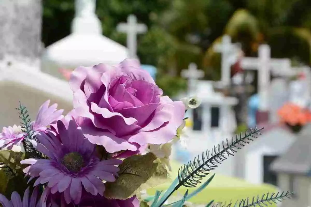 Unas flores en un cementerio con varias tumbas en el fondo