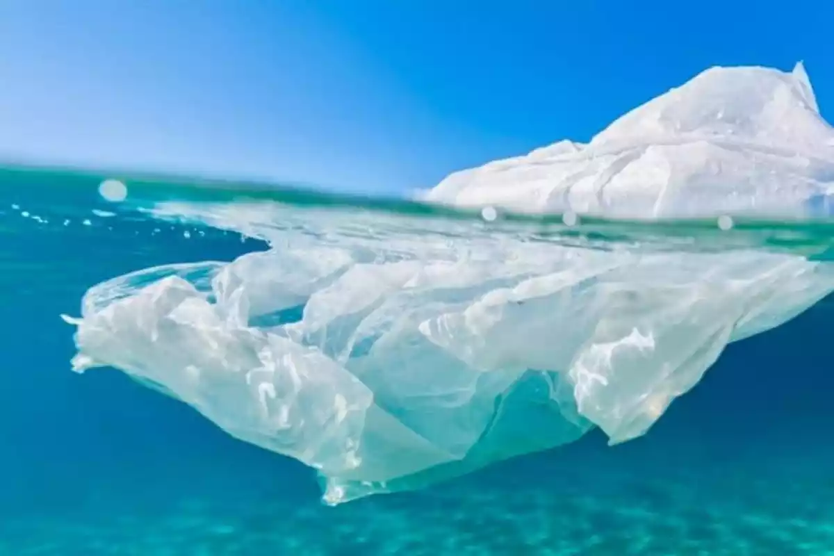 Imagen de una bolsa de plástico flotando en el mar