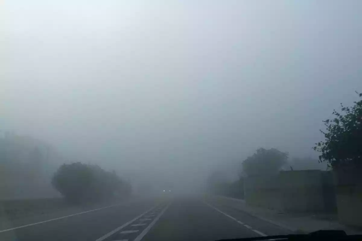 Imagen de una carretera afectada por la niebla