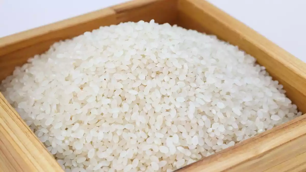 Primer plano de un montón de arroz