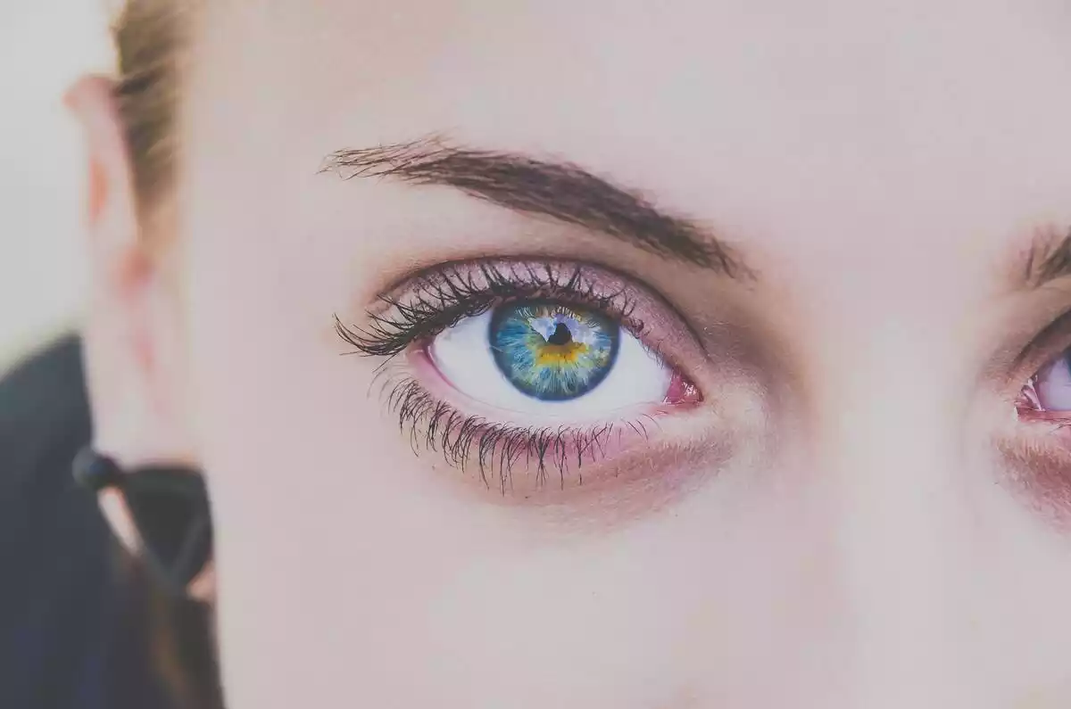 primer plano de unos ojos azules
