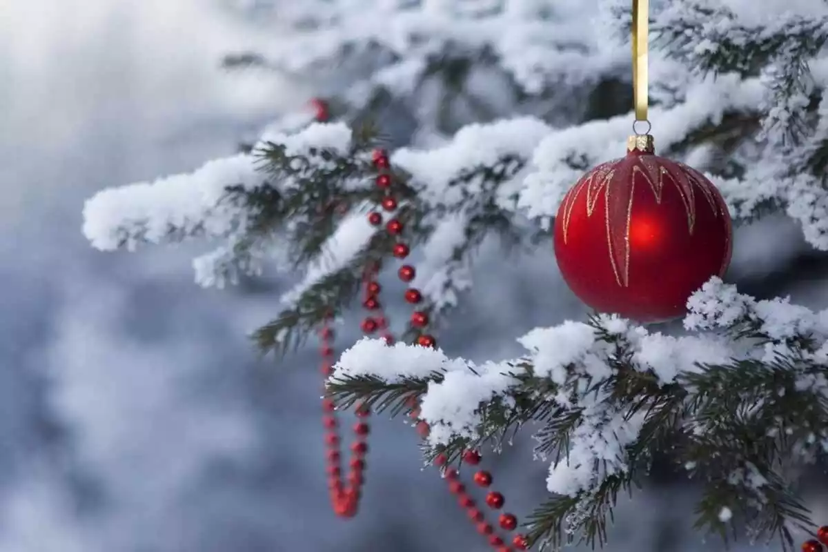 Imagen de un árbol de Navidad bajo una nevada