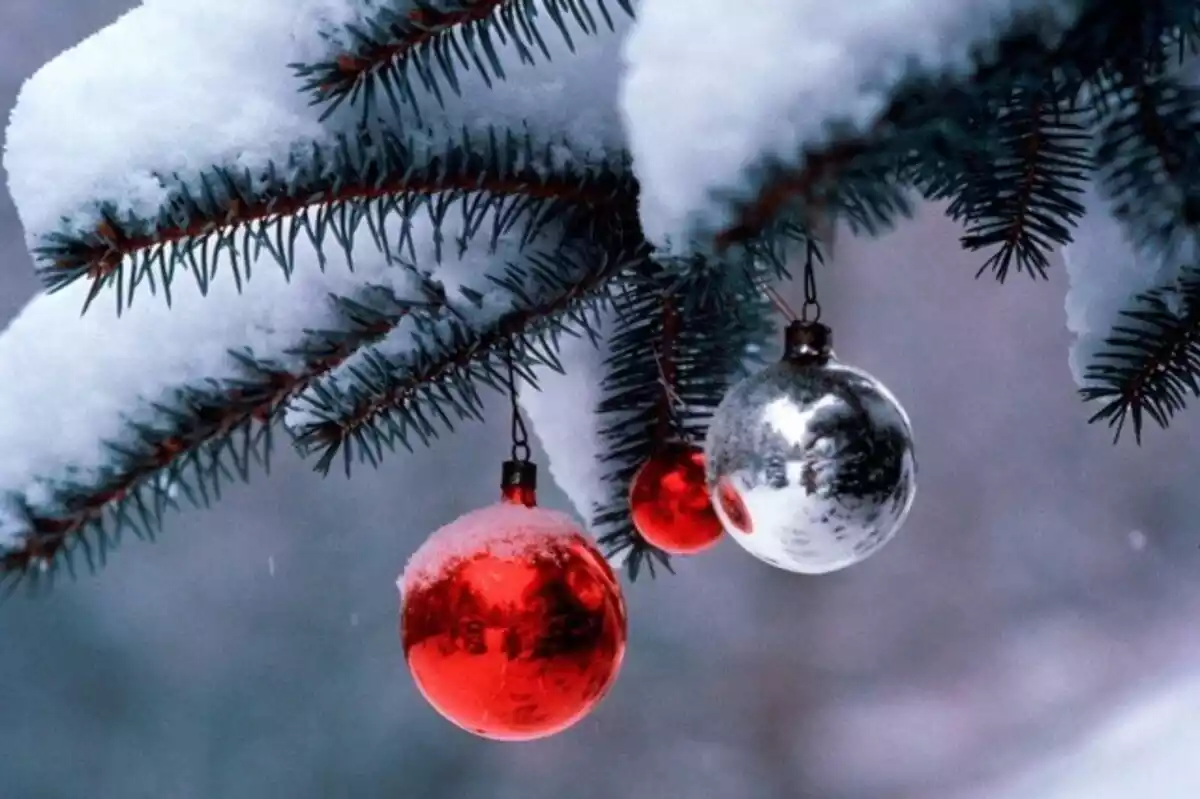 Imagen de un árbol de Navidad nevado con las bolas navideñas