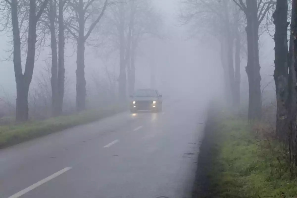 Imagen de una carretera con niebla densa