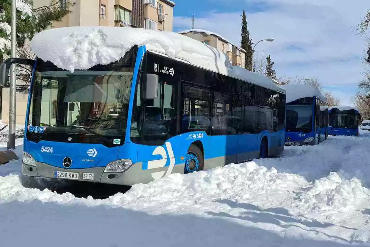 Autobuses nevados en Madrid