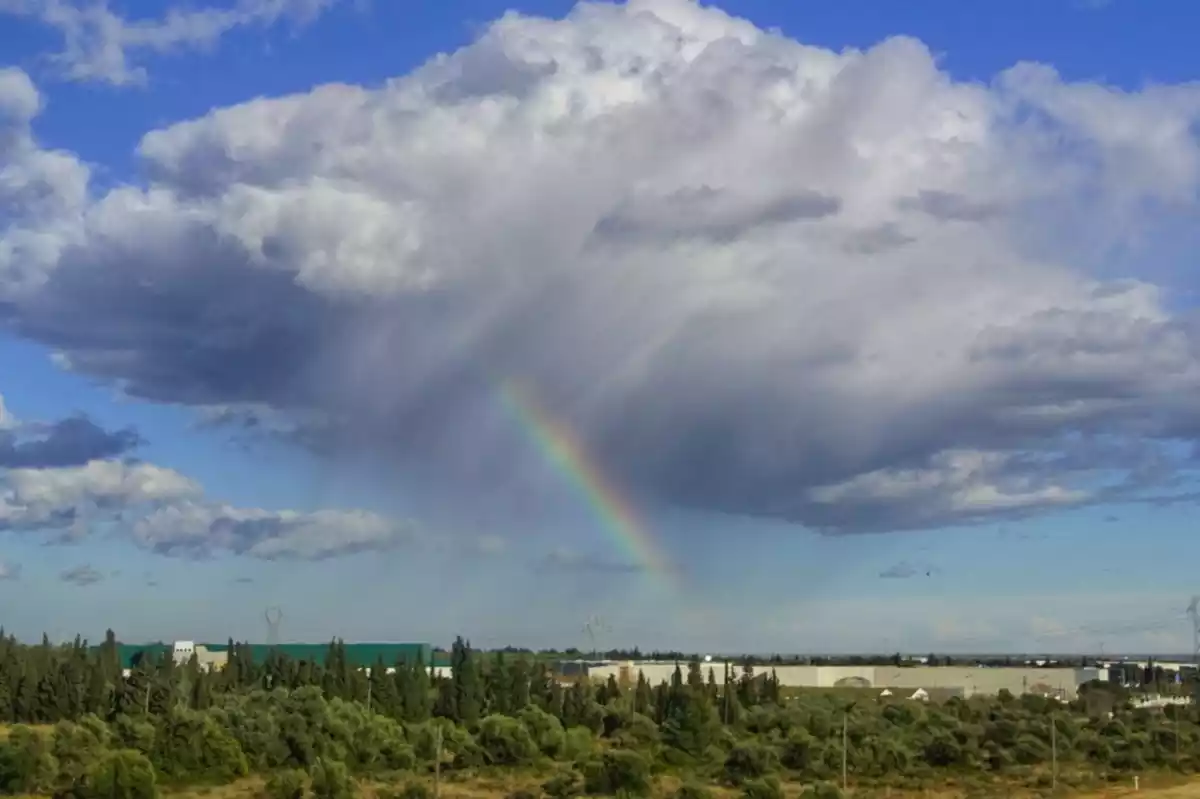 Imagen de un arcoíris en el delta del Ebro