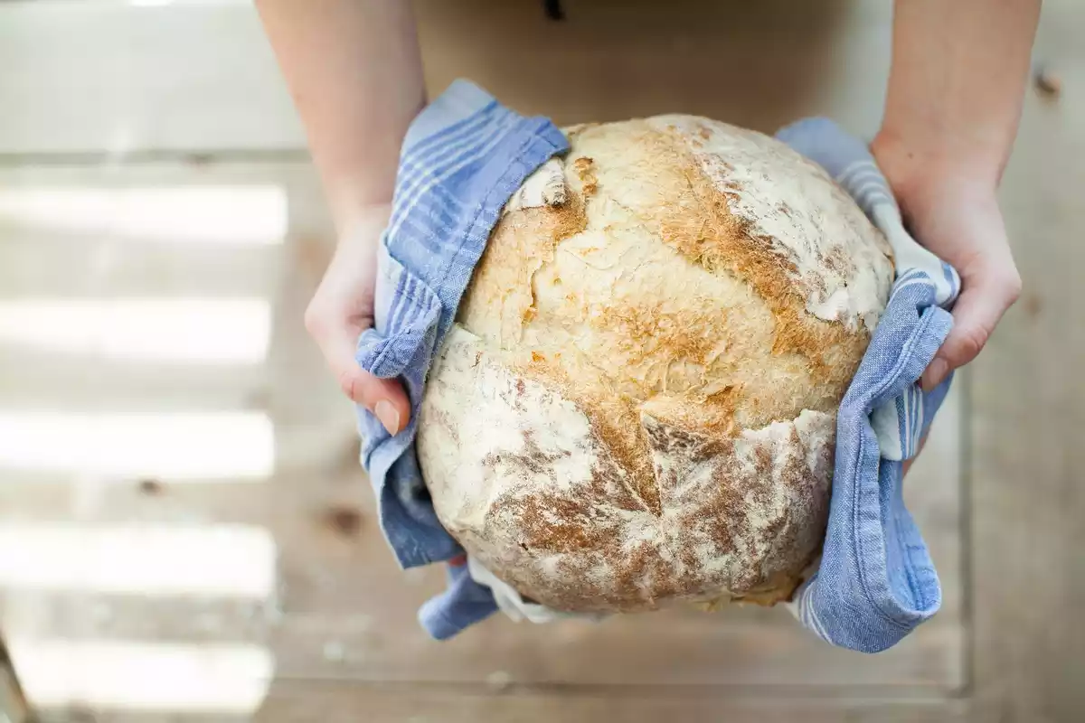Las manos de una persona sujetan un pan redondo rústico con un trapo de cocina