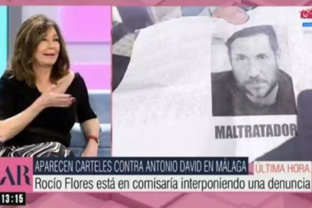 Captura de 'El Programa de Ana Rosa' con los carteles de maltratador de Antonio David