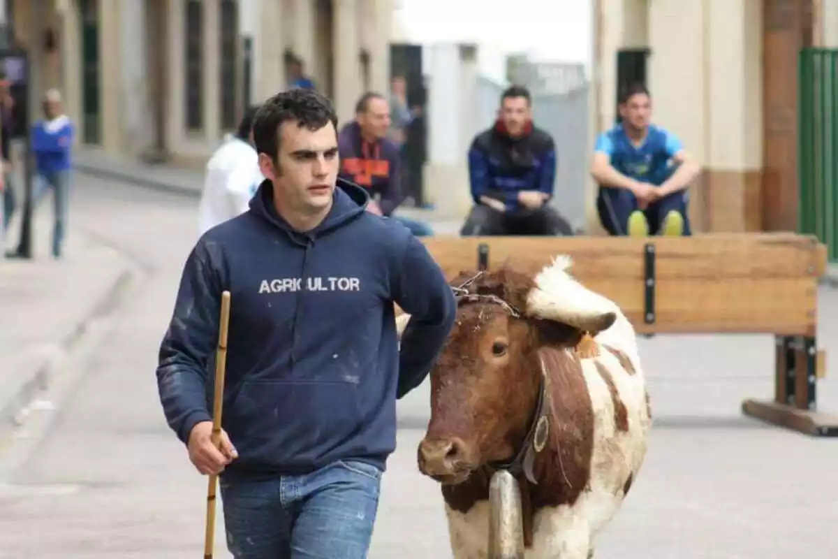 El ganadero Jorge Barberán con una vaquilla