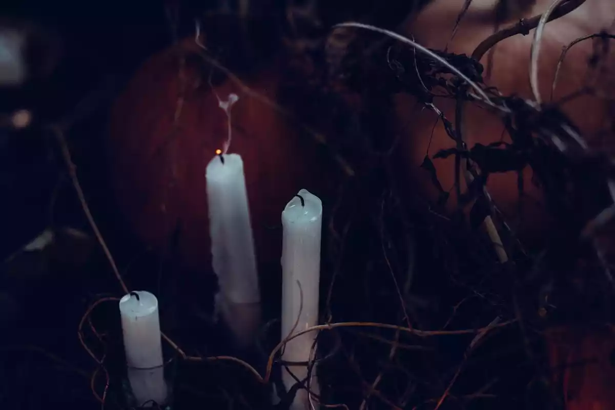 Tres velas de magia negra apagadas rodeadas de raíces
