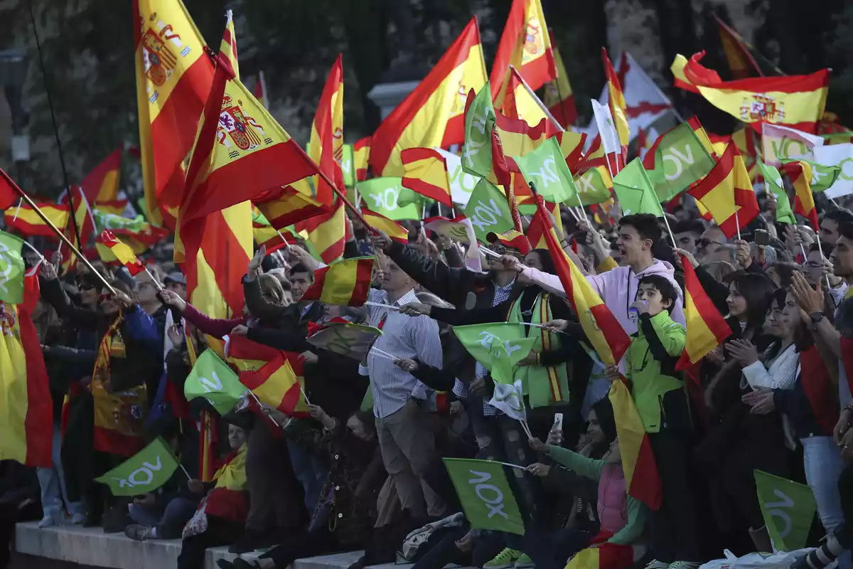 Simpatizantes de Vox en un mitin del partido (26/04/2019).