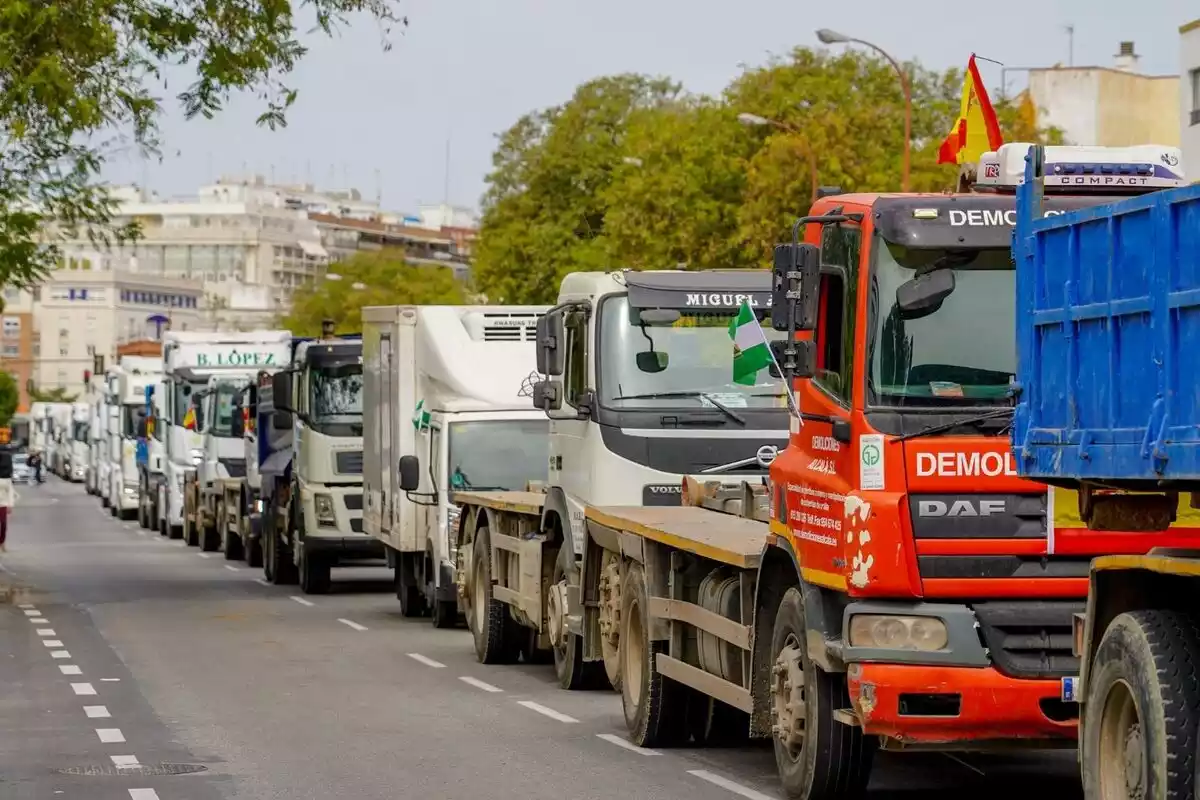 Foto de camiones manifestándose en fila en Sevilla durante el quinto día de la huelga de transporte