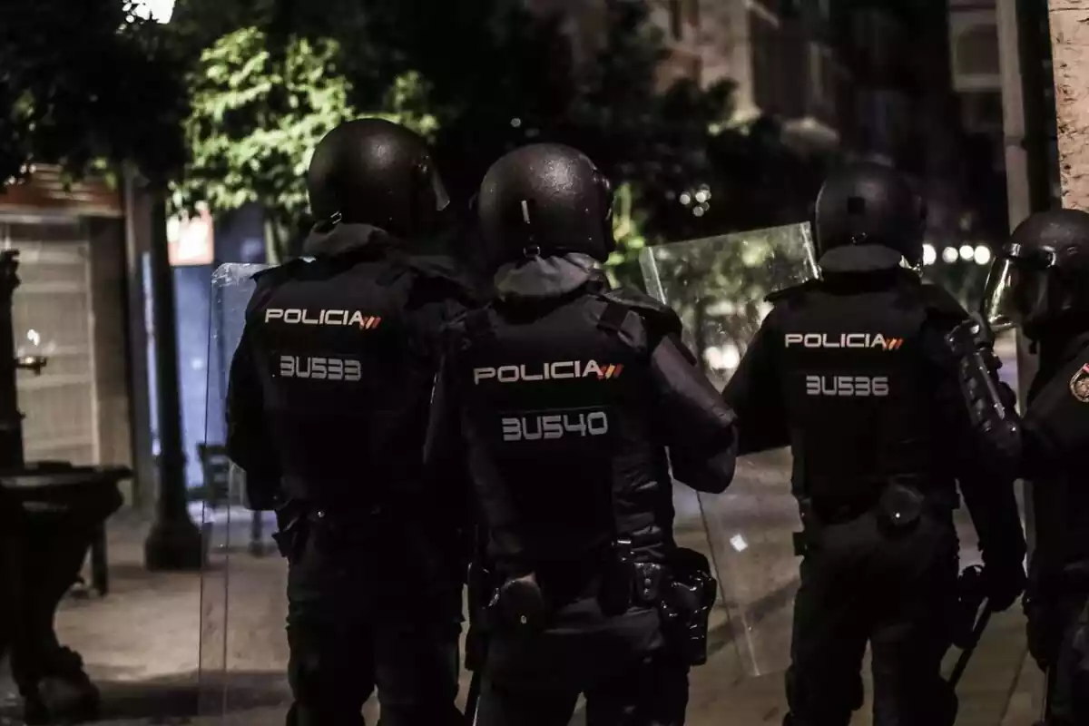 Cuatro agentes de la policia nacional antidisturbios de espaldas