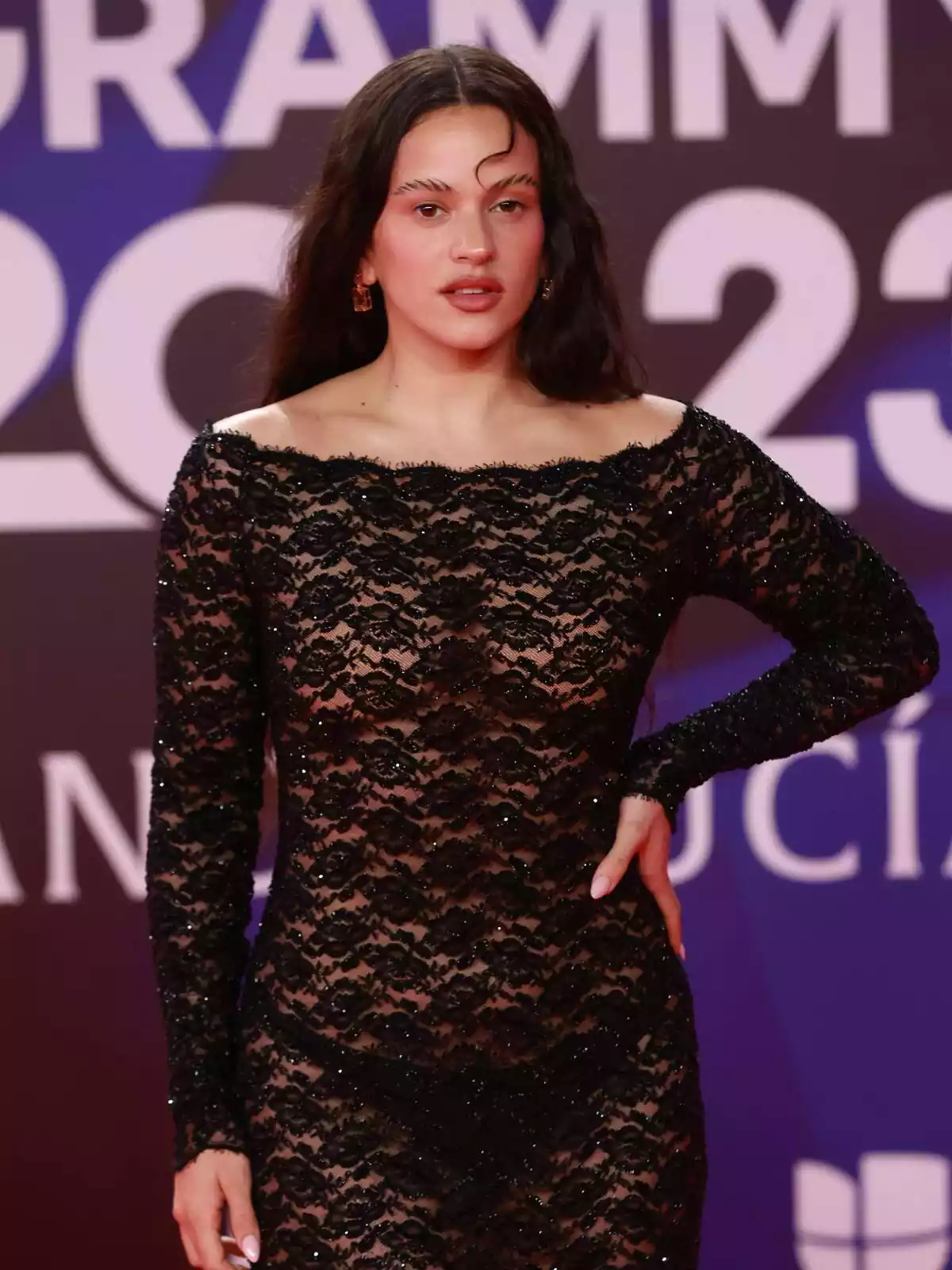 La cantante Rosalia posa en el photocall de los premios 'Latin Grammys 2023' La cantante Rosalia posa en el photocall de los premios 'Latin Grammys 2023'