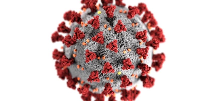 Imagen de una simulación del virus SARS-Cov-2 causante del Coronavirus