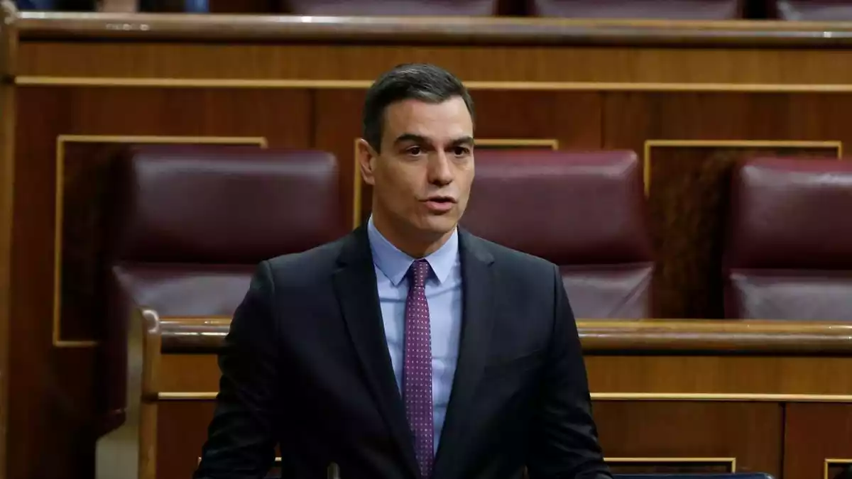 Pedro Sánchez en la sesión de control al Gobierno en el Congreso del 29/04/2020